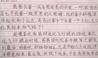 1一3年级日记