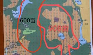 光伏发电到哪里咨询