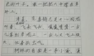 小学生风景作文 小学生风景作文