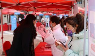 济南大学研究生艺术学类好就业吗 济南大学就业指导中心